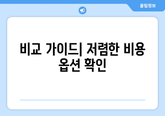 비교 가이드| 저렴한 비용 옵션 확인