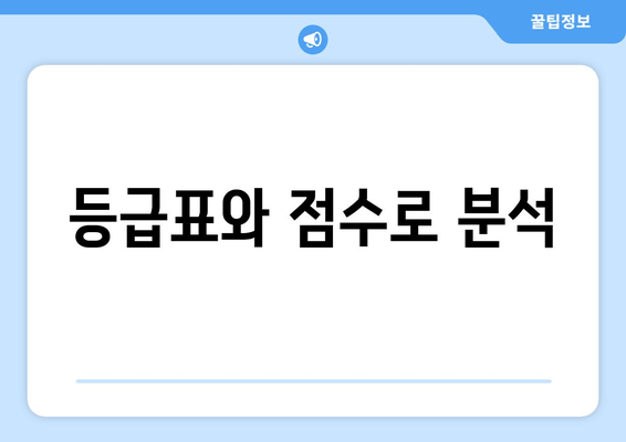 등급표와 점수로 분석