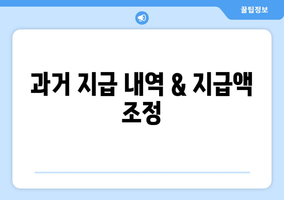 과거 지급 내역 & 지급액 조정