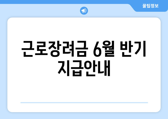 근로장려금 6월 반기 지급안내