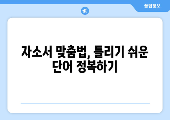 자소서 맞춤법 완벽 가이드| 대입 & 취업 성공을 위한 7가지 꿀팁 | 오탈자 없는 완벽한 자기소개서 작성법