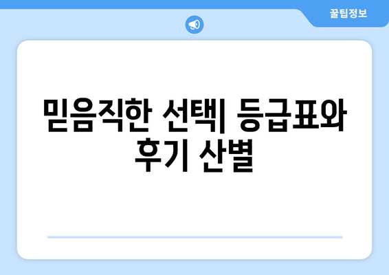 믿음직한 선택| 등급표와 후기 산별