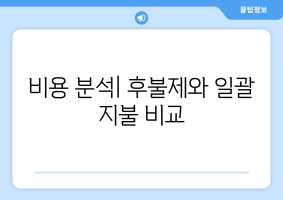 비용 분석| 후불제와 일괄 지불 비교