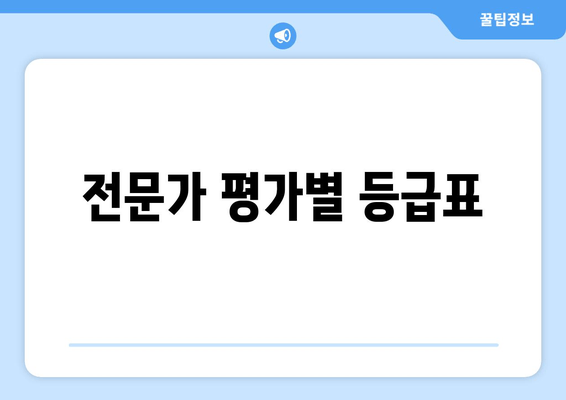 전문가 평가별 등급표