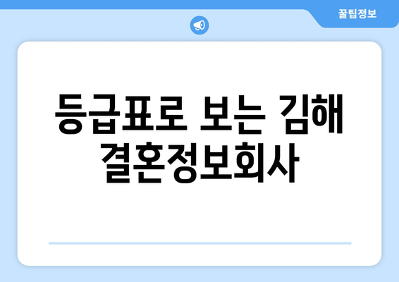 등급표로 보는 김해 결혼정보회사