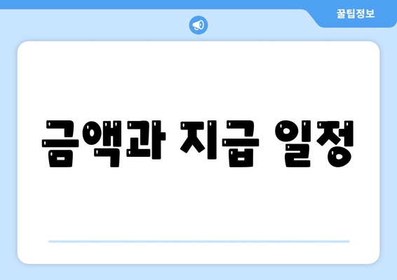 금액과 지급 일정