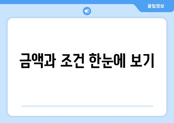 금액과 조건 한눈에 보기