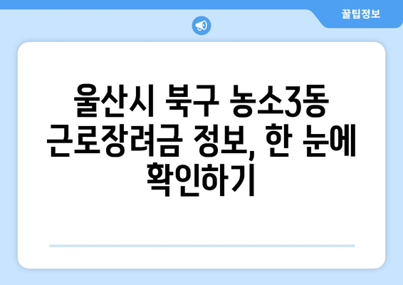 울산시 북구 농소3동 근로장려금 정보, 한 눈에 확인하기