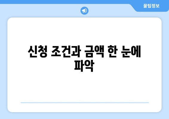 신청 조건과 금액 한 눈에 파악