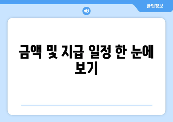 금액 및 지급 일정 한 눈에 보기