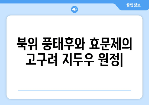 북위 풍태후와 효문제의 고구려 지두우 원정| 역사적 배경과 영향 | 북위, 고구려, 남북조 시대, 한반도 역사