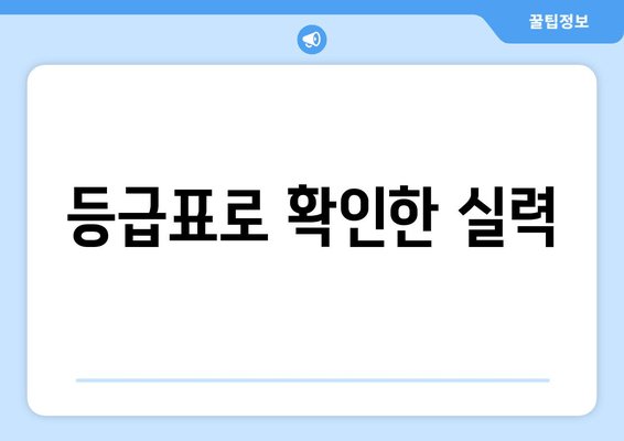 등급표로 확인한 실력