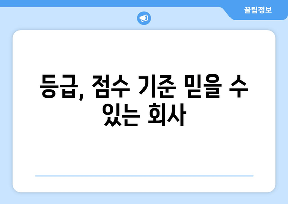 등급, 점수 기준 믿을 수 있는 회사