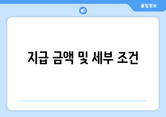 지급 금액 및 세부 조건