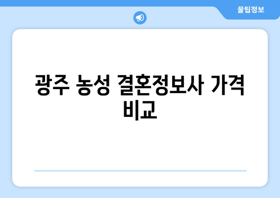 광주 농성 결혼정보사 가격 비교