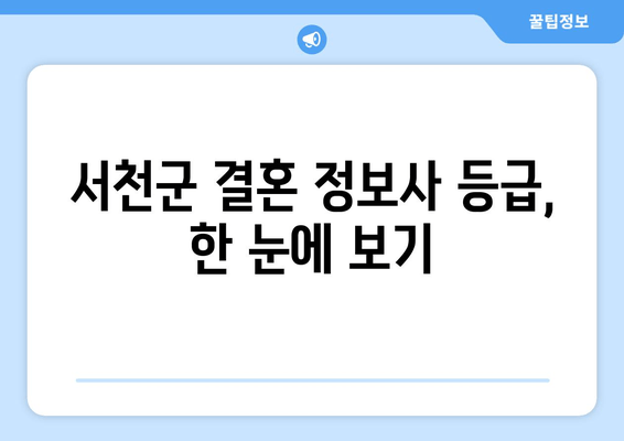 서천군 결혼 정보사 등급, 한 눈에 보기