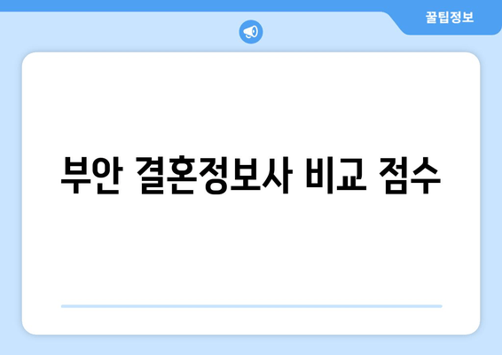 부안 결혼정보사 비교 점수