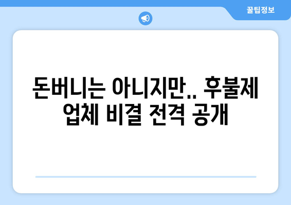 돈버니는 아니지만.. 후불제 업체 비결 전격 공개