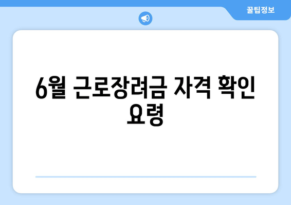 6월 근로장려금 자격 확인 요령