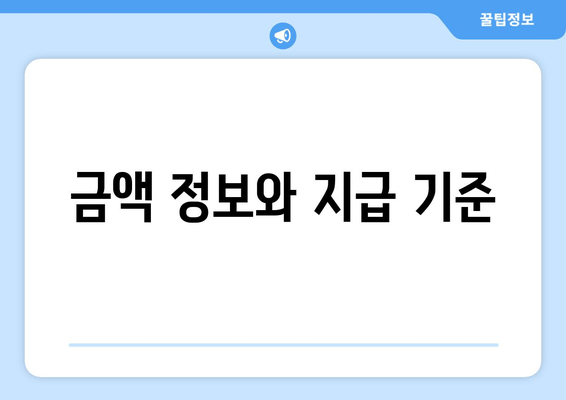 금액 정보와 지급 기준