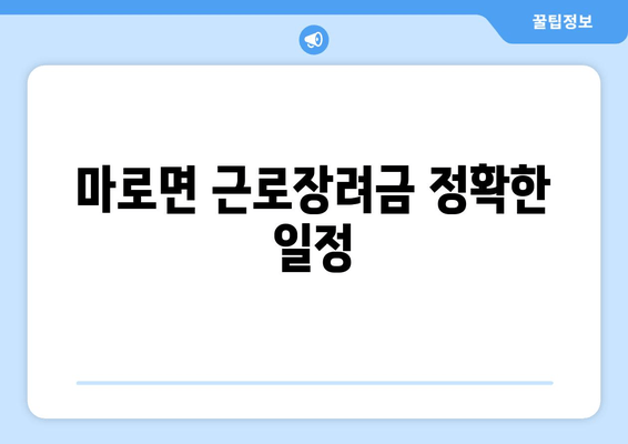 마로면 근로장려금 정확한 일정