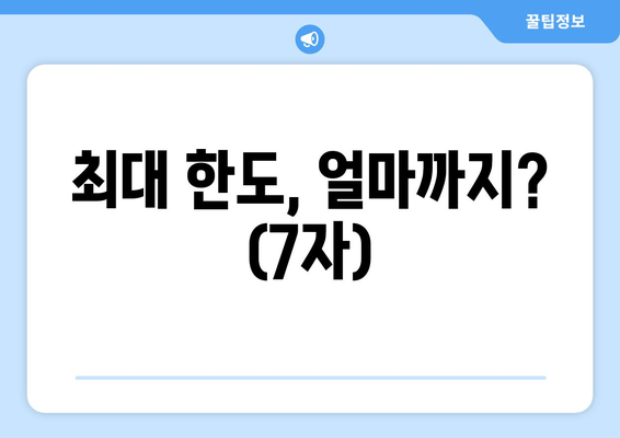 최대 한도, 얼마까지? (7자)