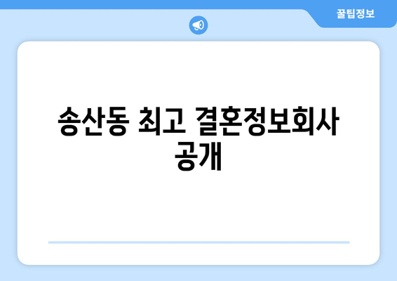 송산동 최고 결혼정보회사 공개