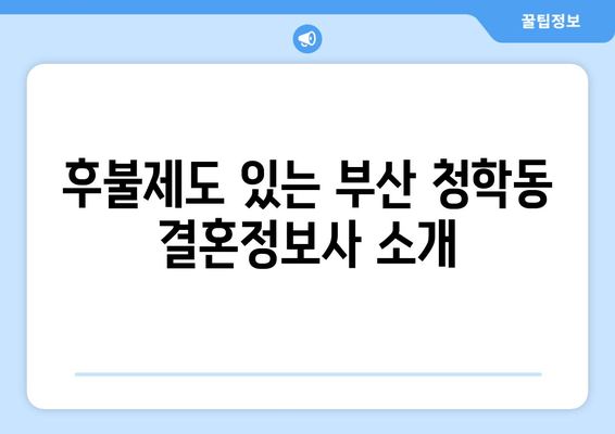 후불제도 있는 부산 청학동 결혼정보사 소개