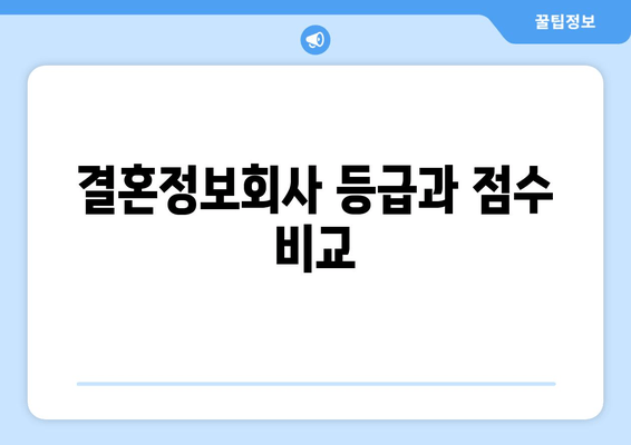 결혼정보회사 등급과 점수 비교