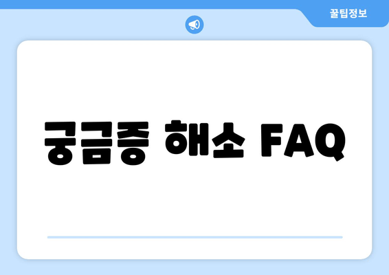 궁금증 해소 FAQ