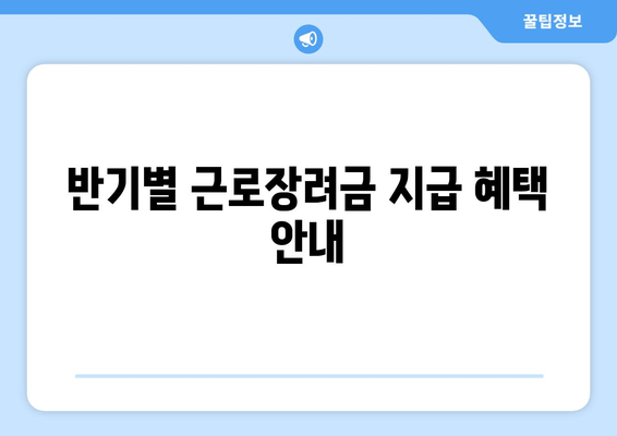 반기별 근로장려금 지급 혜택 안내