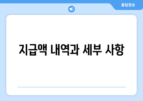 지급액 내역과 세부 사항