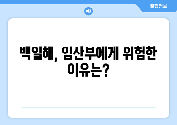 백일해, 임산부는 특히 주의하세요! 치료 & 격리 & 예방접종 완벽 가이드 | 백일해, 임산부, 백일해 치료, 격리 기간, 예방접종