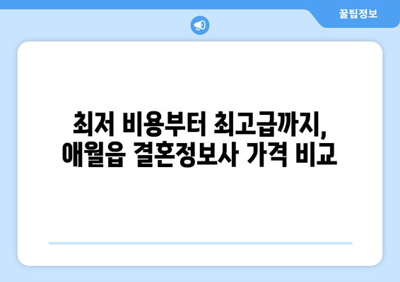 최저 비용부터 최고급까지, 애월읍 결혼정보사 가격 비교