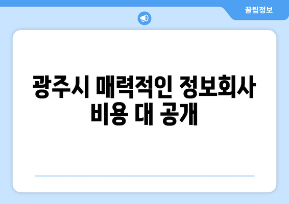 광주시 매력적인 정보회사 비용 대 공개