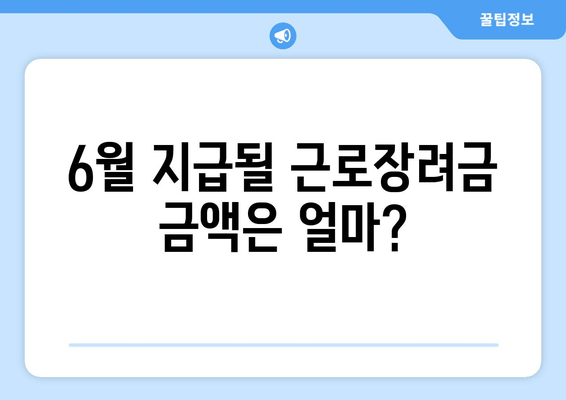 6월 지급될 근로장려금 금액은 얼마?