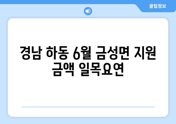 경남 하동 6월 금성면 지원 금액 일목요연