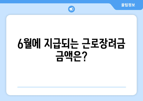 6월에 지급되는 근로장려금 금액은?