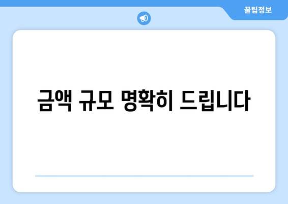 금액 규모 명확히 드립니다