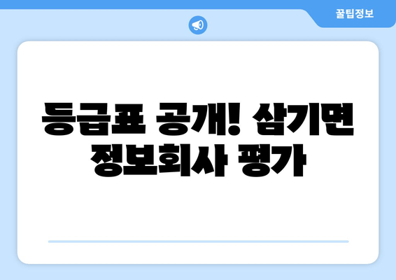 등급표 공개! 삼기면 정보회사 평가