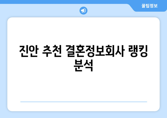 진안 추천 결혼정보회사 랭킹 분석