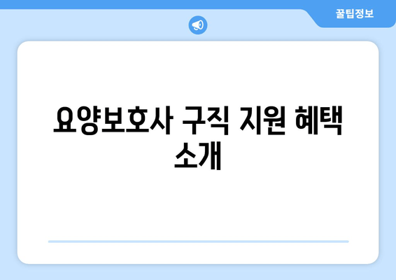 요양보호사 구직 지원 혜택 소개