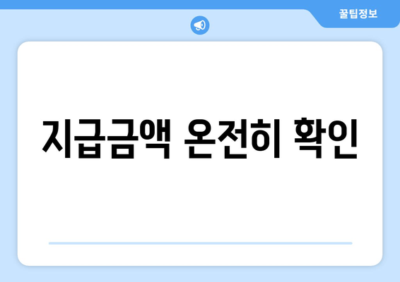 지급금액 온전히 확인