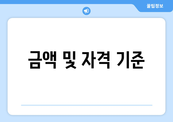 금액 및 자격 기준