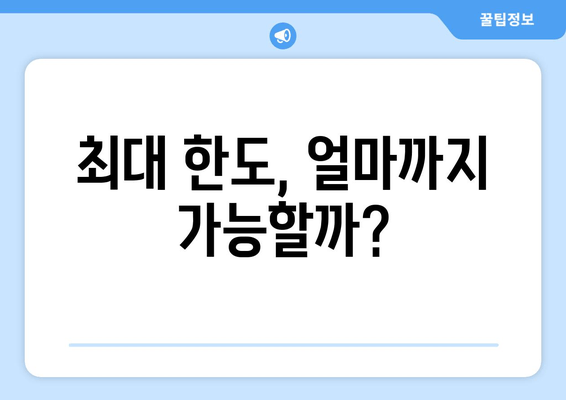 최대 한도, 얼마까지 가능할까?