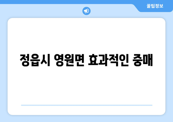 정읍시 영원면 효과적인 중매