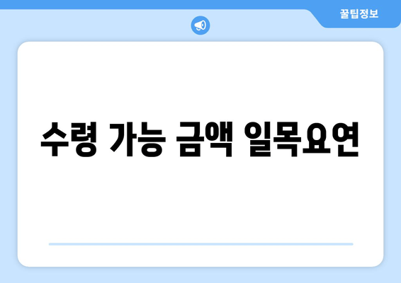 수령 가능 금액 일목요연