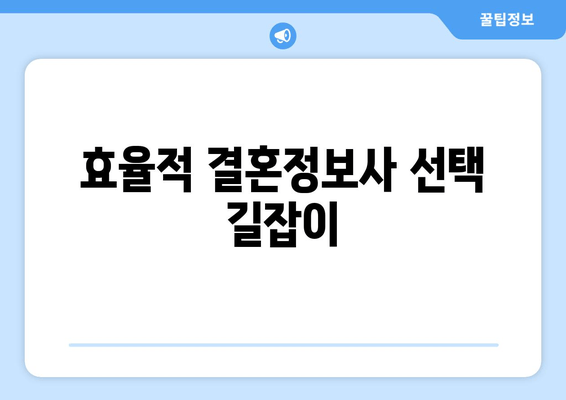 효율적 결혼정보사 선택 길잡이