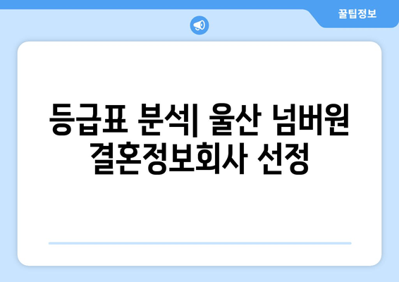 등급표 분석| 울산 넘버원 결혼정보회사 선정