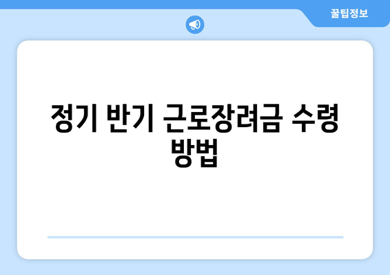 정기 반기 근로장려금 수령 방법